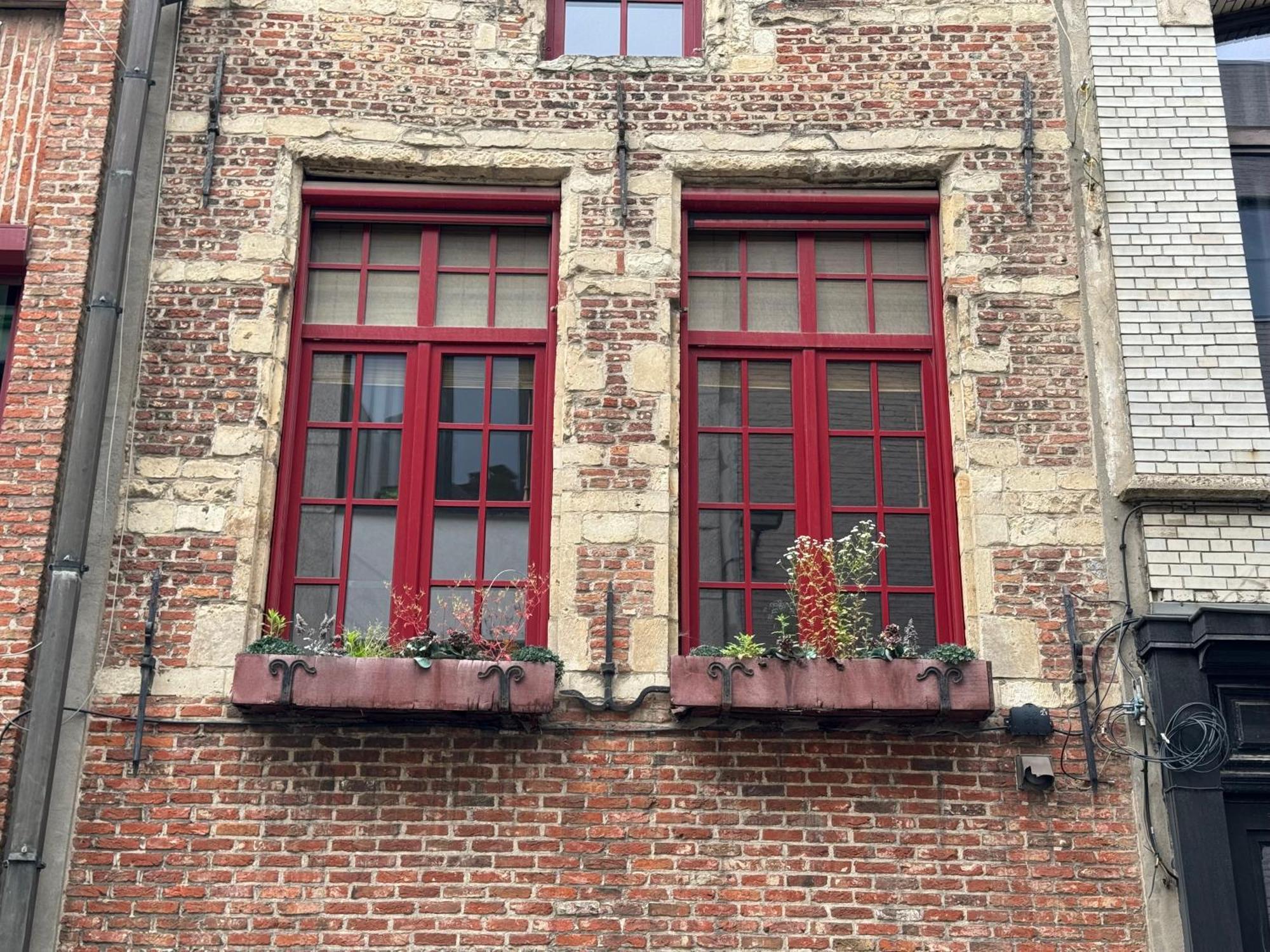 Garden Loft In City Center Meir 1Fl Anversa Esterno foto
